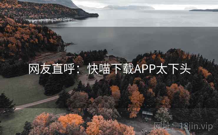 网友直呼:快喵下载APP太下头